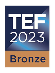 TEF Bronze icon