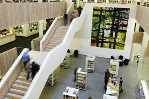 elevated view of the steps and ground floor of the hive library