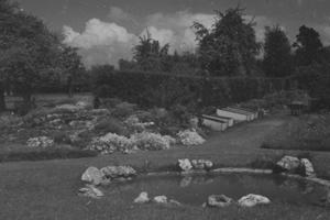 Henwick House gardens in the 1950s