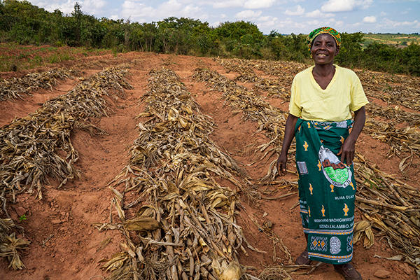 woman stood by maize yields